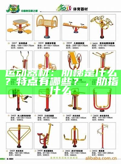 网格体育器材：全面介绍各种网格运动器材，网格运动鞋