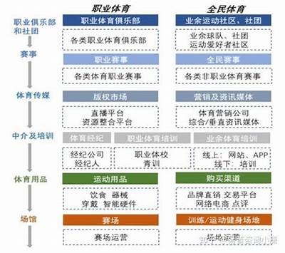 体育器材租赁行业发展现状及前景分析，体育器材租赁费