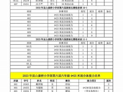 小学体育器材登记表【百度收录】，2019年小学体育器材使用记录