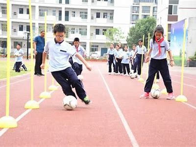 小学体育器材：横杠的种类及用途，体育器械横杠