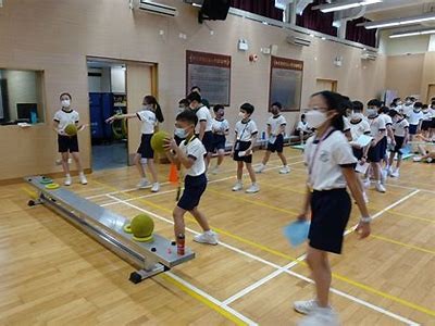 小学体育器材使用技巧及注意事项，小学体育器材使用制度