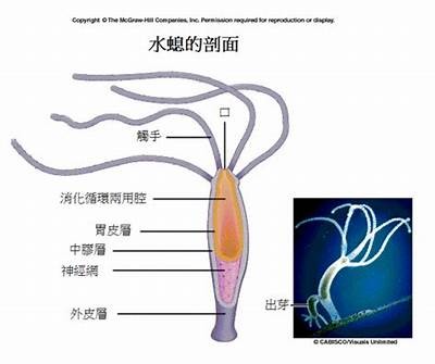 「浠水润达体育器材」- 浠水专业体育器材销售店